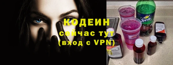 гидра Арсеньев