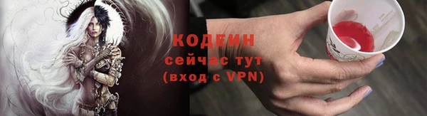 гидра Арсеньев