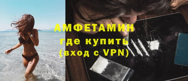 гидра Арсеньев